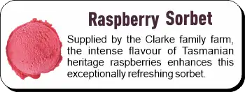 Dairy Free - Raspberry Sorbet
