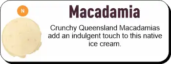 Macadamia