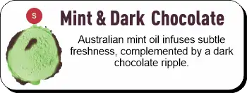Mint & Dark Chocolate