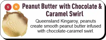 Peanut Butter with Chocolate & Caramel Swirl