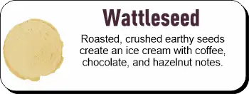 Wattleseed